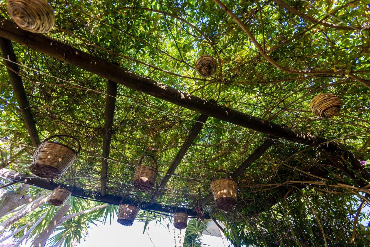 Villa Mamma Grazia Rooms San Vito dei Normanni Buitenkant foto